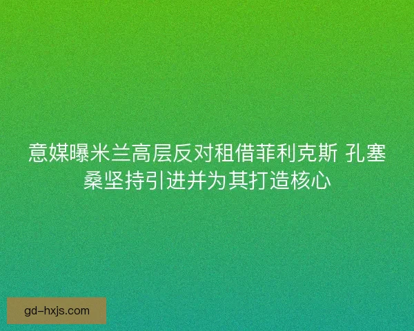 意媒曝米兰高层反对租借菲利克斯 孔塞桑坚持引进并为其打造核心